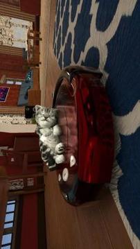 Cat Simulator : Kitty Craft截图