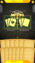 Spades Solitaire Black Gold截图2