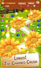 Blossom Garden Mania截图5