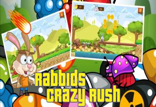 Adventure Rabbids Crazy New截图3