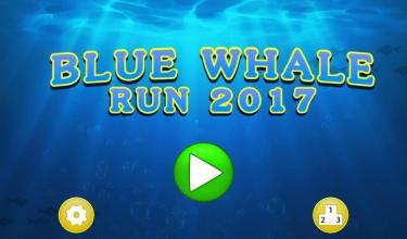 Blue Whale Run 2017截图1