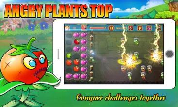 Angry Plants Top截图4