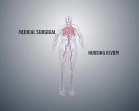 MEDICAL NURSING REVIEW截图4