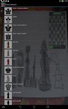 Chess Art for Kids截图2