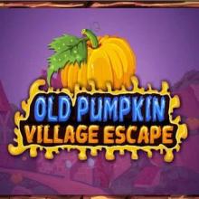 Old Pumpkin Village Escape截图1