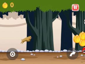 Pug Land- Dog Game截图4