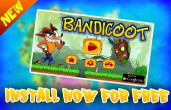 bandicoot adventure run jungle截图1