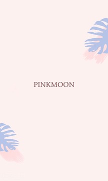 Pink Moon截图