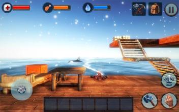 Winter Survival On Raft 3D截图1