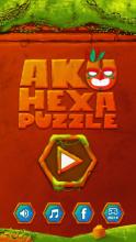 Aku Hexa Puzzle截图1