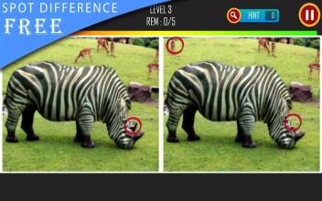 Find The Difference 50 Level : Spot Difference截图3