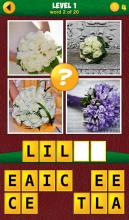 4 Pics 1 Odd: More Words截图3