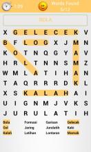 Word Search: Malay 2截图4