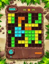 Block Puzzle Fauna 块拼图经典：动物截图1