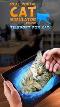 Real Portal Cat Simulator Prank截图2