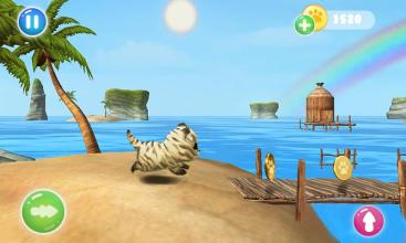 Cat Run Simulator截图3