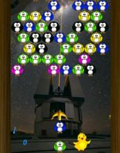 Birds Bubble Shooter 2016截图2