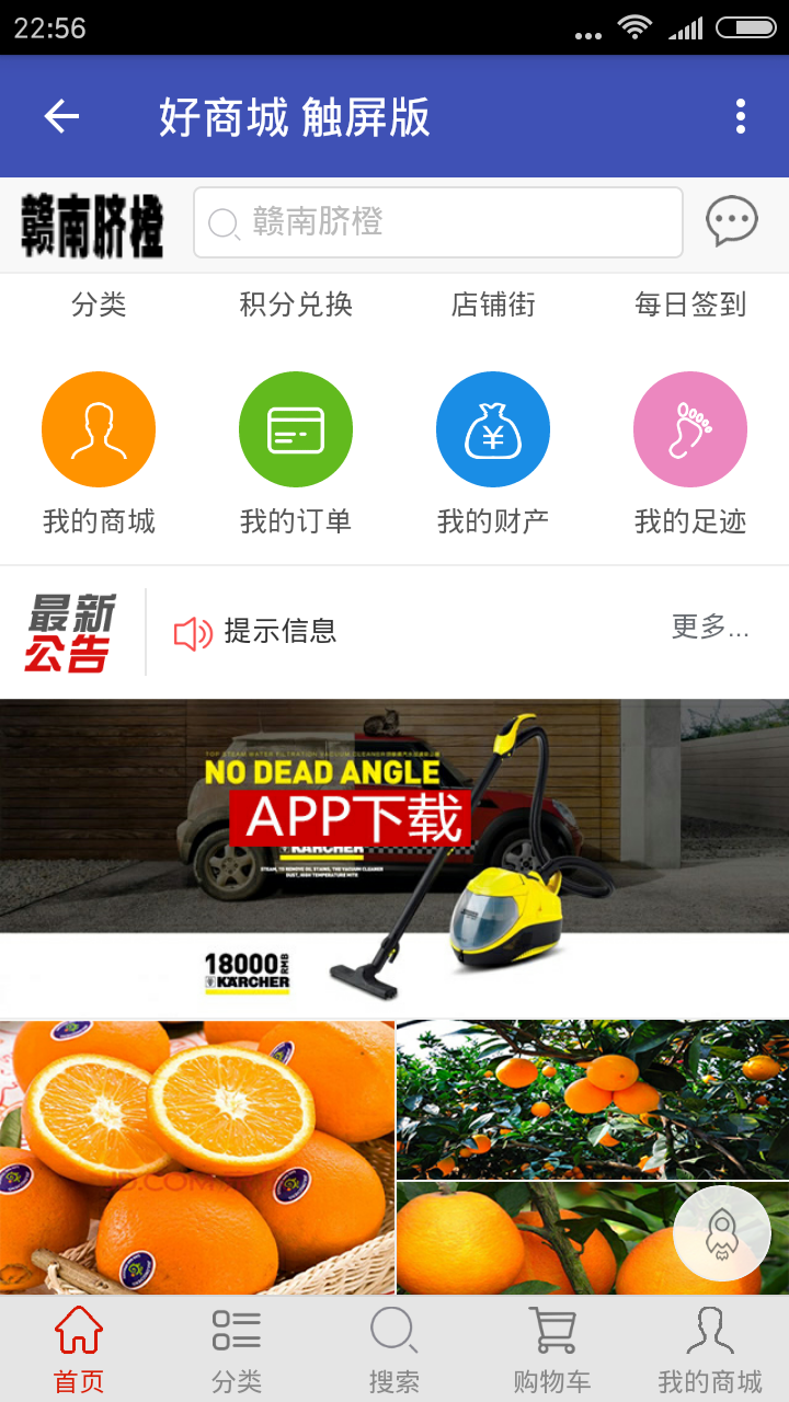 脐橙分享截图1