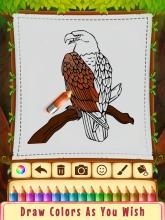 Hunted Page Book:Coloring Game截图2