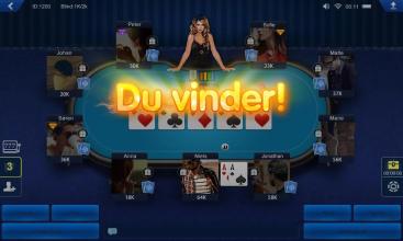 Dansk Poker HD截图3