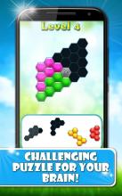 Hexagon: Block Puzzle Games截图2