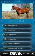 Name that Horse Breed Trivia截图2