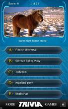 Name that Horse Breed Trivia截图4