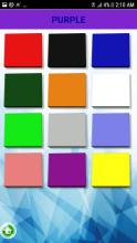 Learn Colours - Free with BrainyEggs截图3