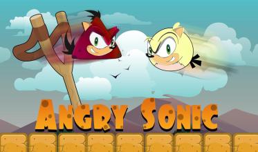 Angry Sonic Aventure - Ninja截图4