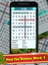 New Year Word Puzzle:Word Brain Puzzle截图3