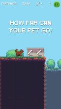 Pet Run: Cats & Dogs截图3