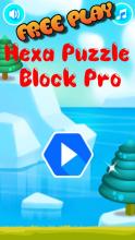 Hexa Puzzle Block Pro截图1