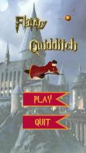 Potter Quidditch截图1