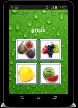 Fruits Name Quiz !截图2