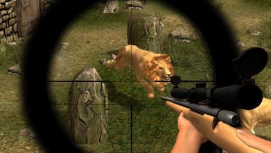 Animal Hunting : Lion Sniper Hunter截图2