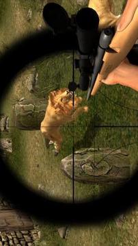 Animal Hunting : Lion Sniper Hunter截图