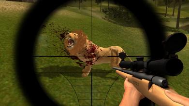 Animal Hunting : Lion Sniper Hunter截图3