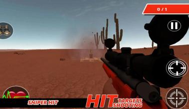 Hit Sniper Gun Shooter - Sniper Shooting Games截图1