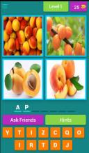 Name The Fruit - Kids Funny Game截图1