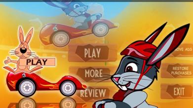 Ace Bunny Turbo Go-kart Race截图1