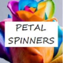 Petal Spinners截图1