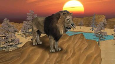 Wild Lion Simulator 2016截图4
