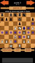 Chess Puzzles截图3