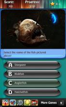 Deep Sea & Ocean Fish Quiz HD截图1