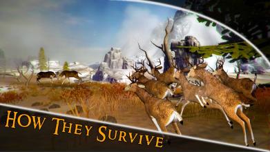 Deer Hunter Safari – African Wild Hunt截图4