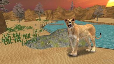 Wild Lion Simulator 2016截图3