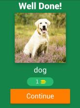 Kids Spelling Quiz - Animals and Birds截图2