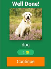 Kids Spelling Quiz - Animals and Birds截图5