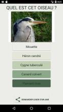 Quiz consacré aux oiseaux截图2