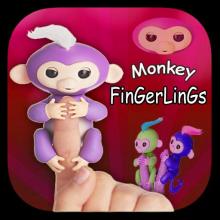 Super Fingerlyngs Jump截图2